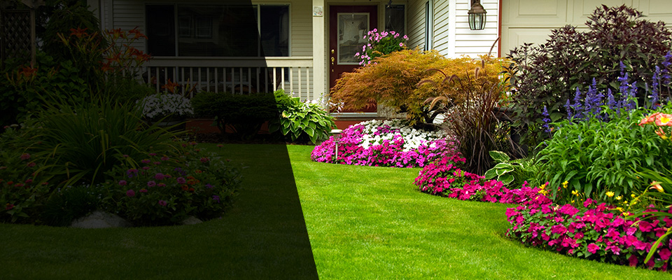 Los Alamitos Landscapers