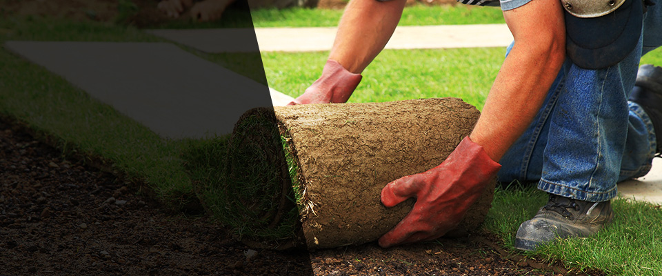 Los Alamitos Landscapers